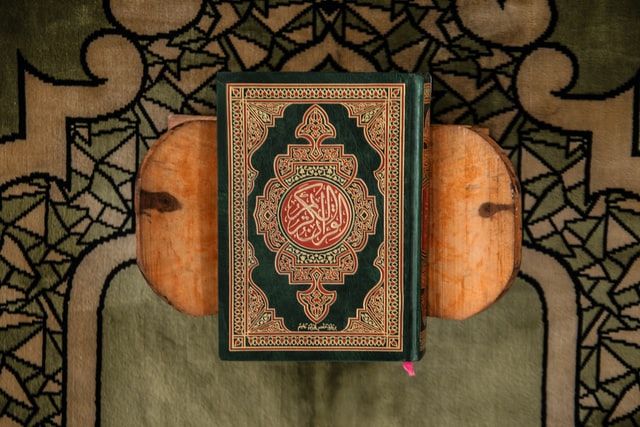 syed aoun-abbas-97o4XH0htUs-unsplash